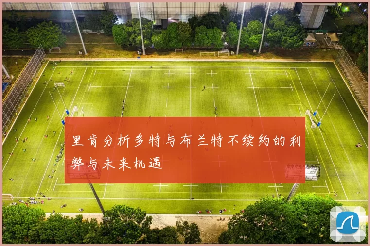 里肯分析多特与布兰特不续约的利弊与未来机遇