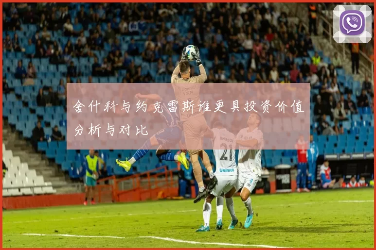 舍什科与约克雷斯谁更具投资价值分析与对比